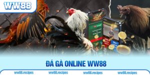 Đá Gà Online - Luật Chơi Và 4 Bí Quyết Hay Từ Chuyên Gia WW88