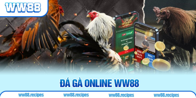 Đá Gà Online - Luật Chơi Và 4 Bí Quyết Hay Từ Chuyên Gia WW88