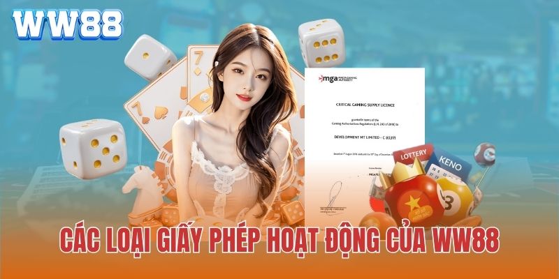 6 loại giấy phép WW88 đang sở hữu