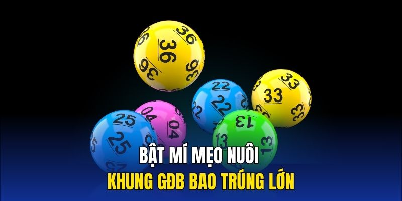 Bật mí mẹo nuôi khung GĐB bao trúng lớn