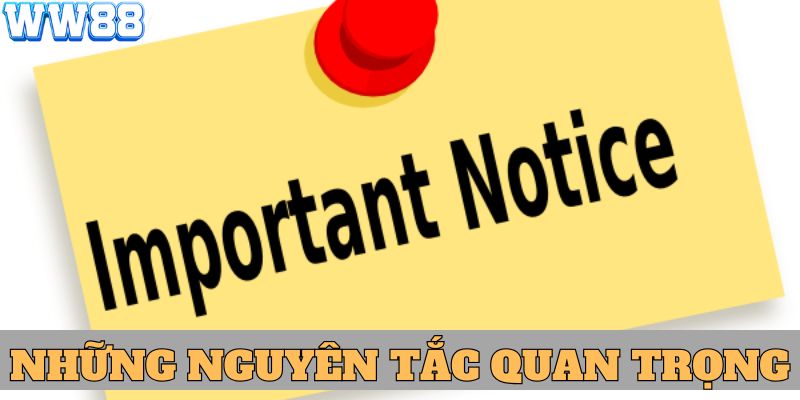 Những nguyên tắc quan trọng cần tuân thủ