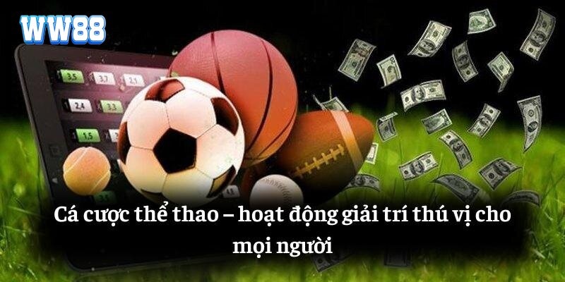 Một vài bộ môn thể thao đặc sắc tại nền tảng