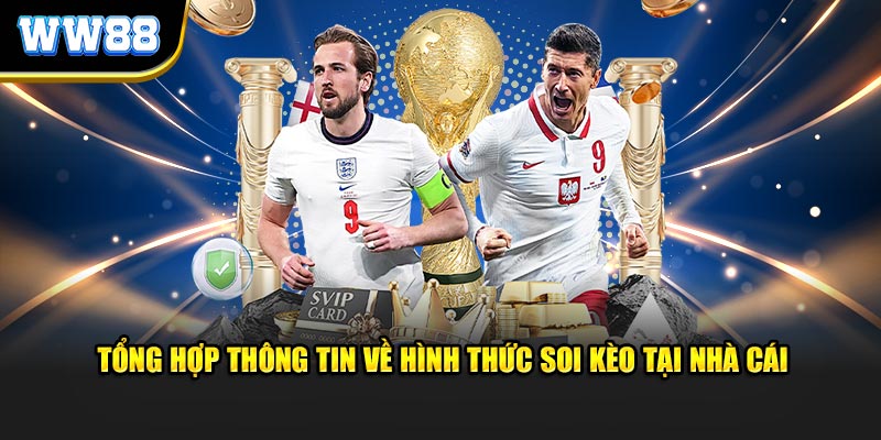 Tổng hợp thông tin về hình thức soi kèo tại nhà cái