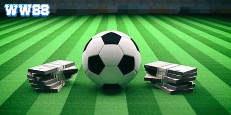 Yếu tố giúp dự đoán tỷ lệ thành công